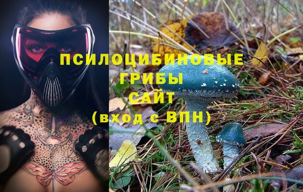 mdma Бородино