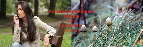 mdma Бородино