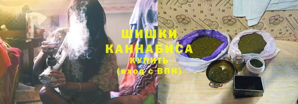 амф Протвино